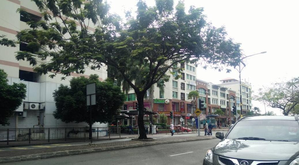 Escape Backpackers Kk Hostel Kota Kinabalu Kültér fotó
